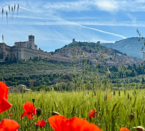 la bellezza di Assisi - ride the beauty apartments