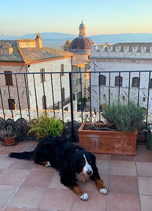 Assisi dog friendly appartamenti in Assisi