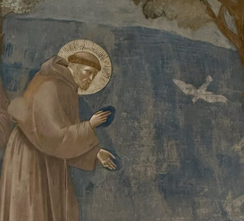 Ride the Beauty - Assisi