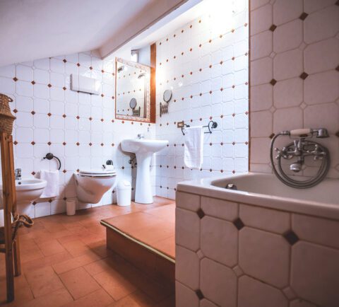 Bagno della casa con la terrazza